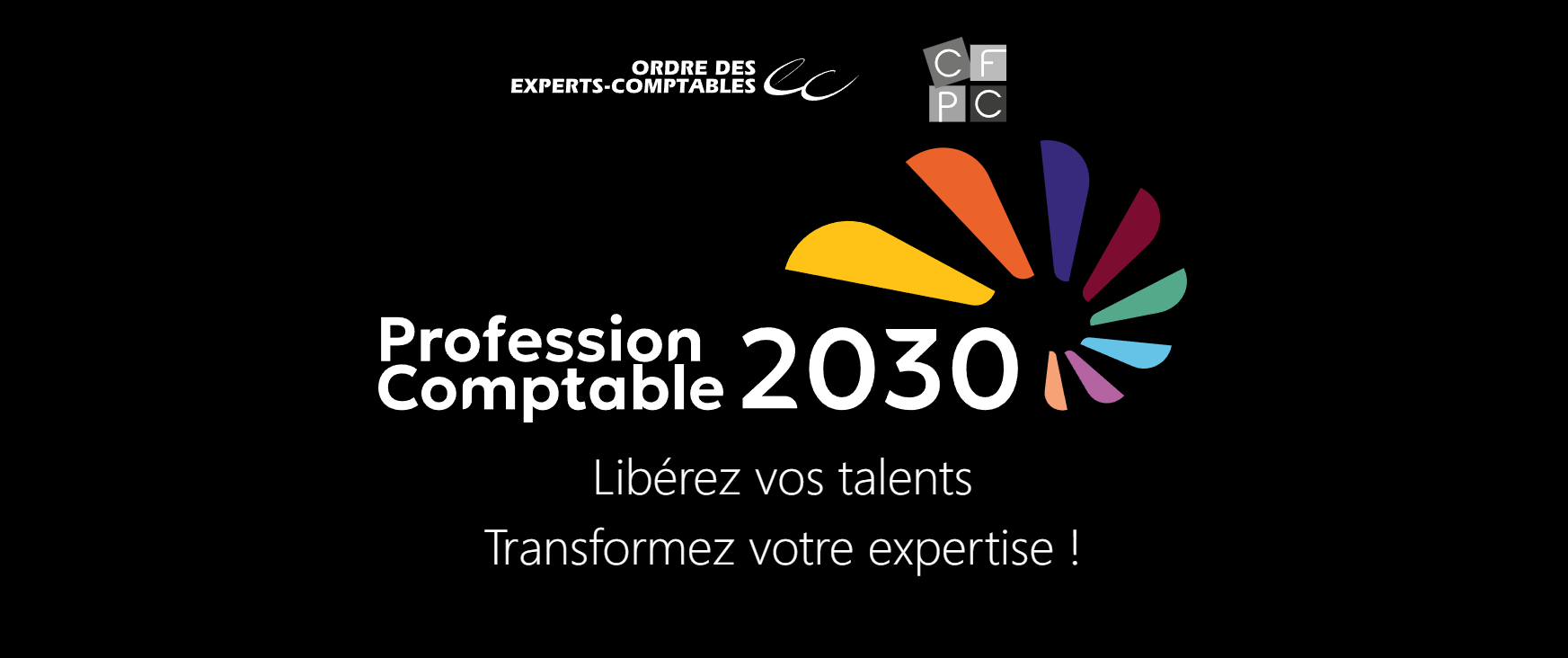 professioncomptable2030